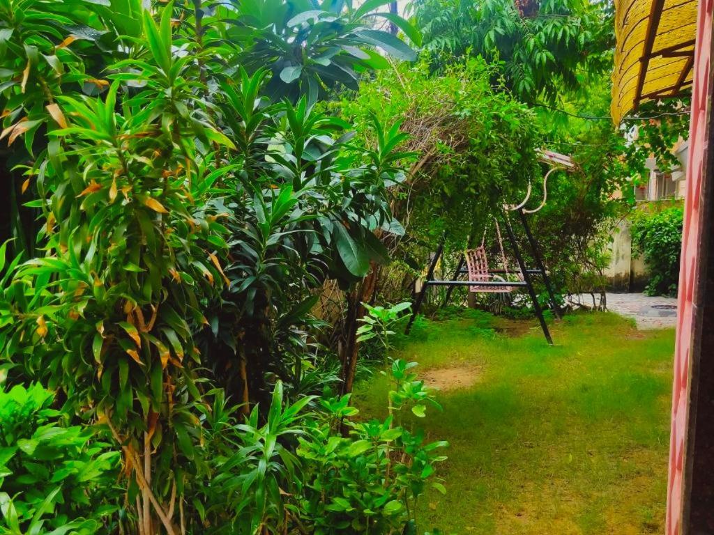 Jwala Niketan Eco Homestay Jaipur Dış mekan fotoğraf